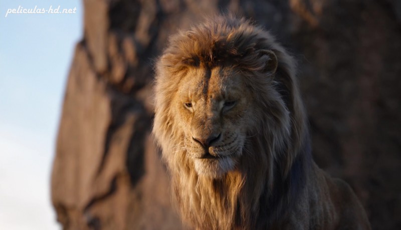 Download El rey león