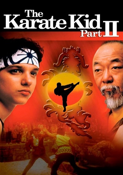 ver Karate Kid 2