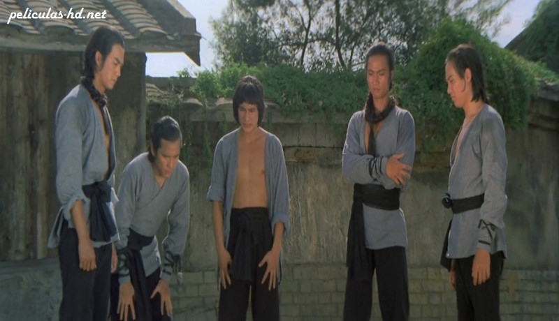 Download Los 5 maestros de Shaolin